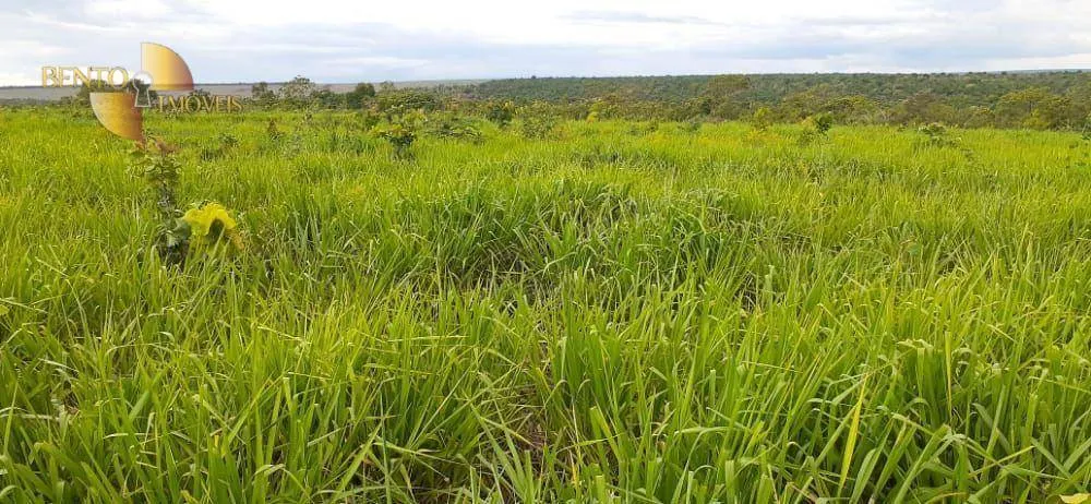 Fazenda à venda de 4.880 ha em Itiquira, MT, Brasil