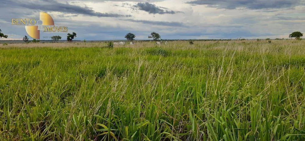 Fazenda à venda de 4.880 ha em Itiquira, MT, Brasil