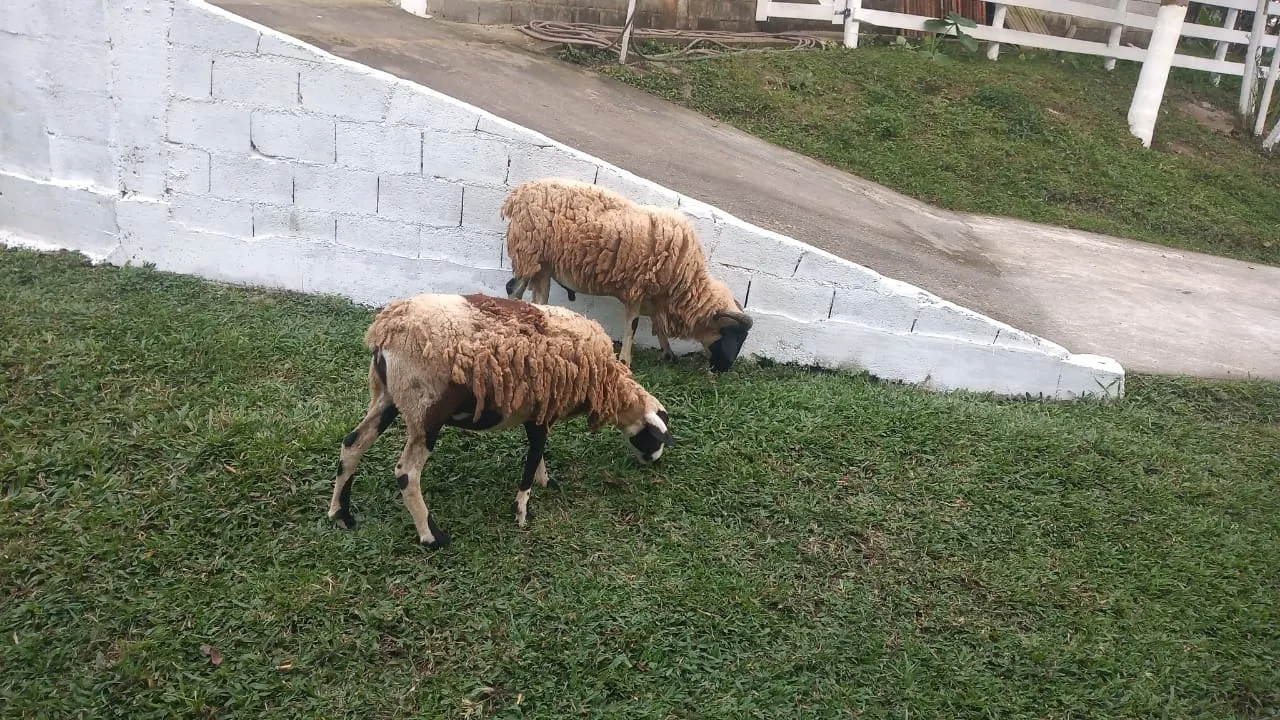 Chácara à venda de 3.000 m² em São Paulo, SP, Brasil