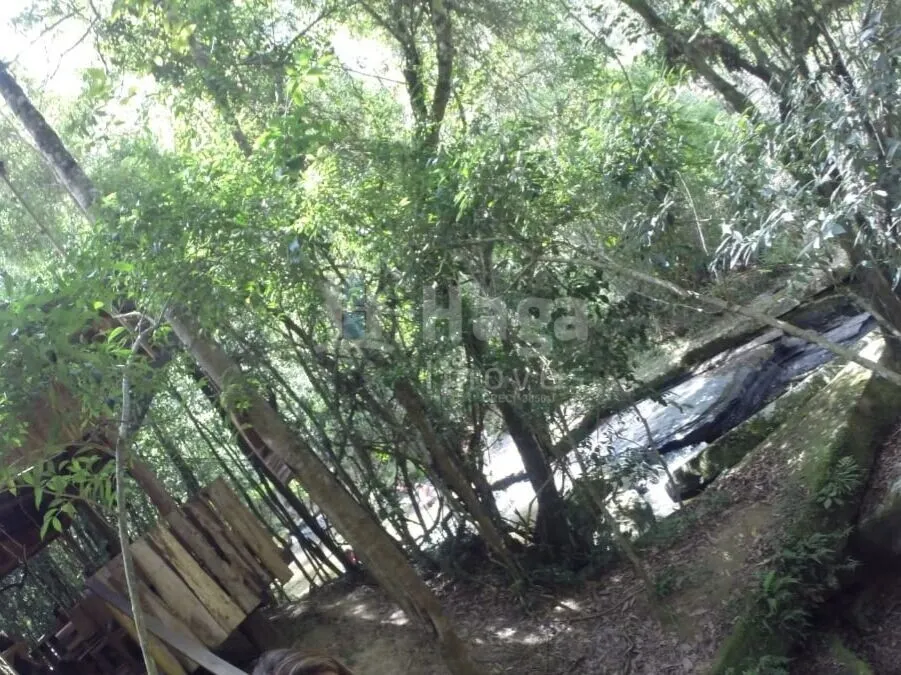 Chácara à venda de 10 ha em José Boiteux, SC, Brasil