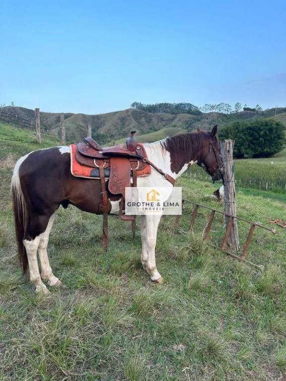 Fazenda à venda de 73 ha em Natividade da Serra, SP, Brasil