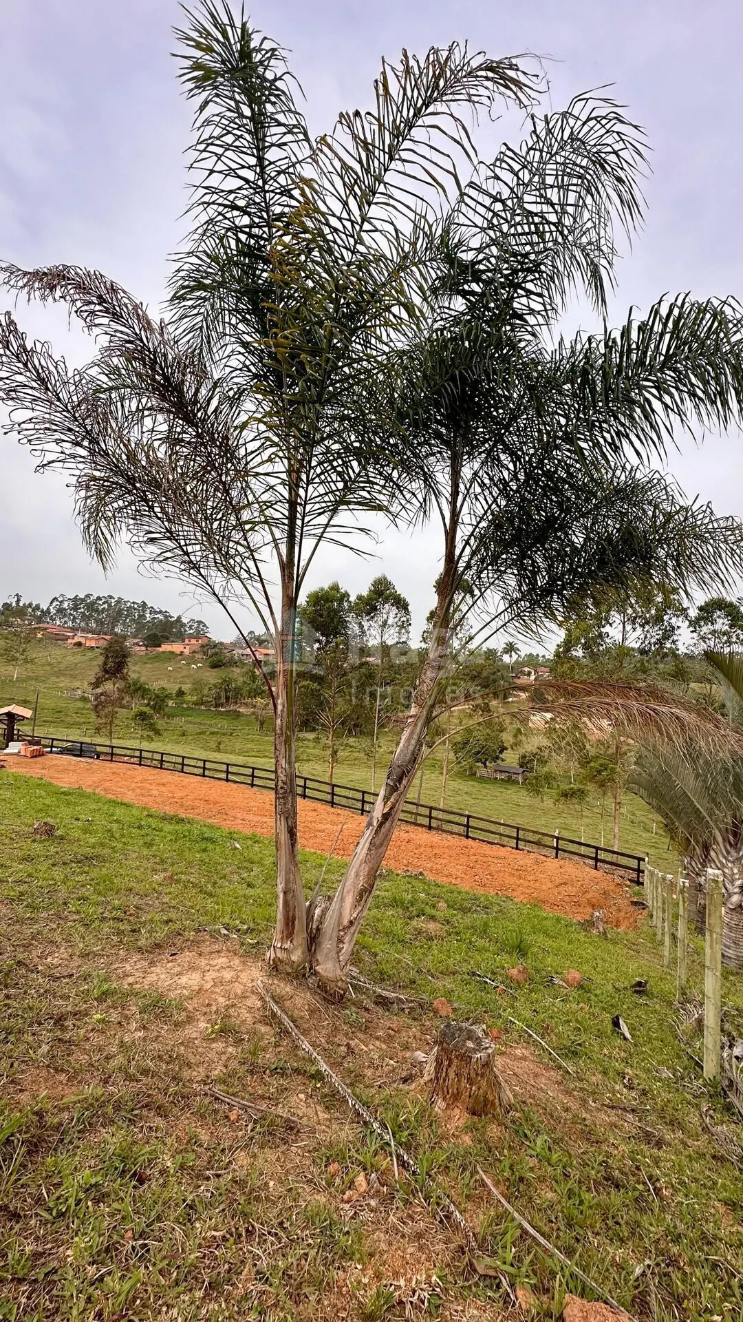Plot for sale of 1,702 m² in Canelinha, SC, Brazil