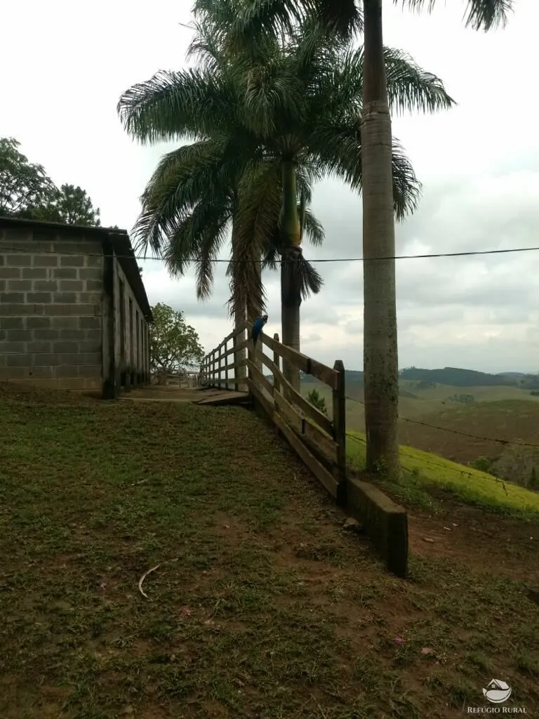 Sítio à venda de 22 ha em Igaratá, SP, Brasil
