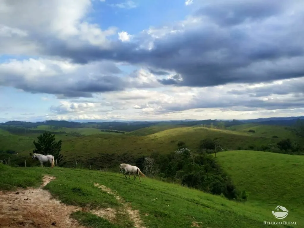 Sítio à venda de 22 ha em Igaratá, SP, Brasil
