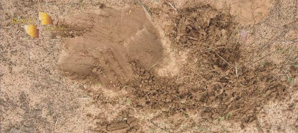 Fazenda à venda de 4.700 ha em Nova Canaã do Norte, MT, Brasil