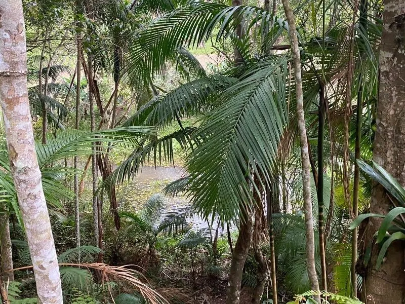 Chácara à venda de 2 ha em Juquitiba, SP, Brasil