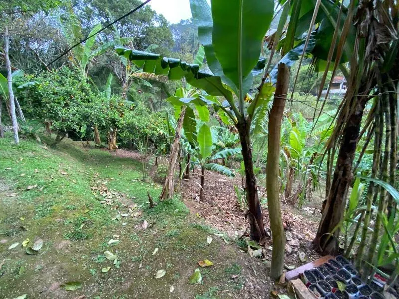 Chácara à venda de 2 ha em Juquitiba, SP, Brasil