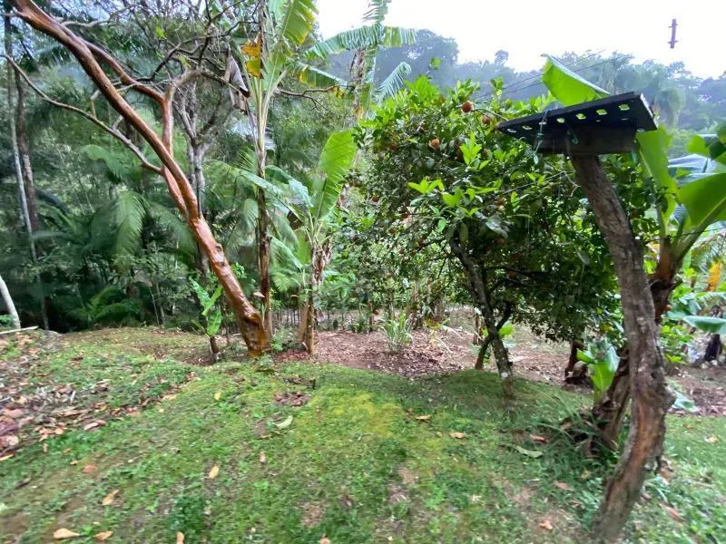 Chácara à venda de 2 ha em Juquitiba, SP, Brasil