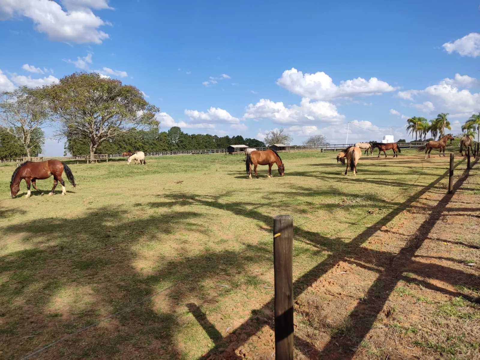 Farm for sale of 502 acres in Itapetininga, SP, Brazil