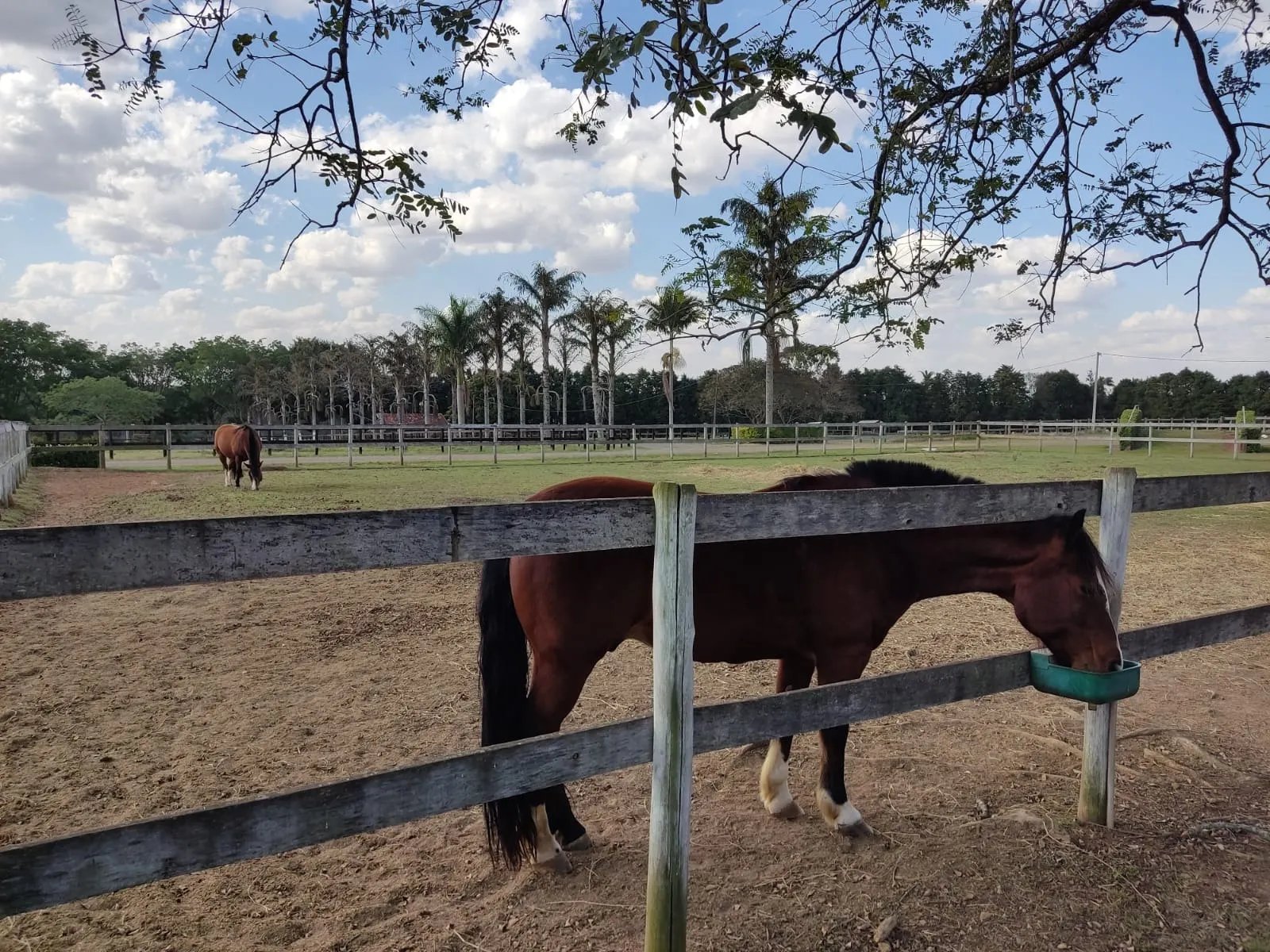 Farm for sale of 502 acres in Itapetininga, SP, Brazil