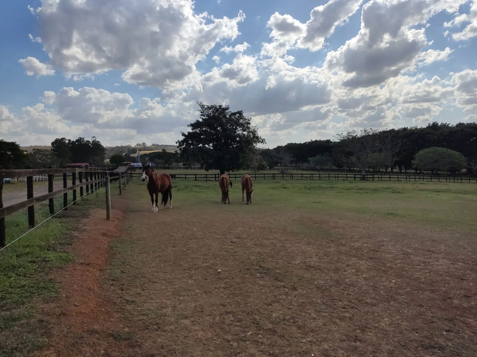 Farm for sale of 502 acres in Itapetininga, SP, Brazil