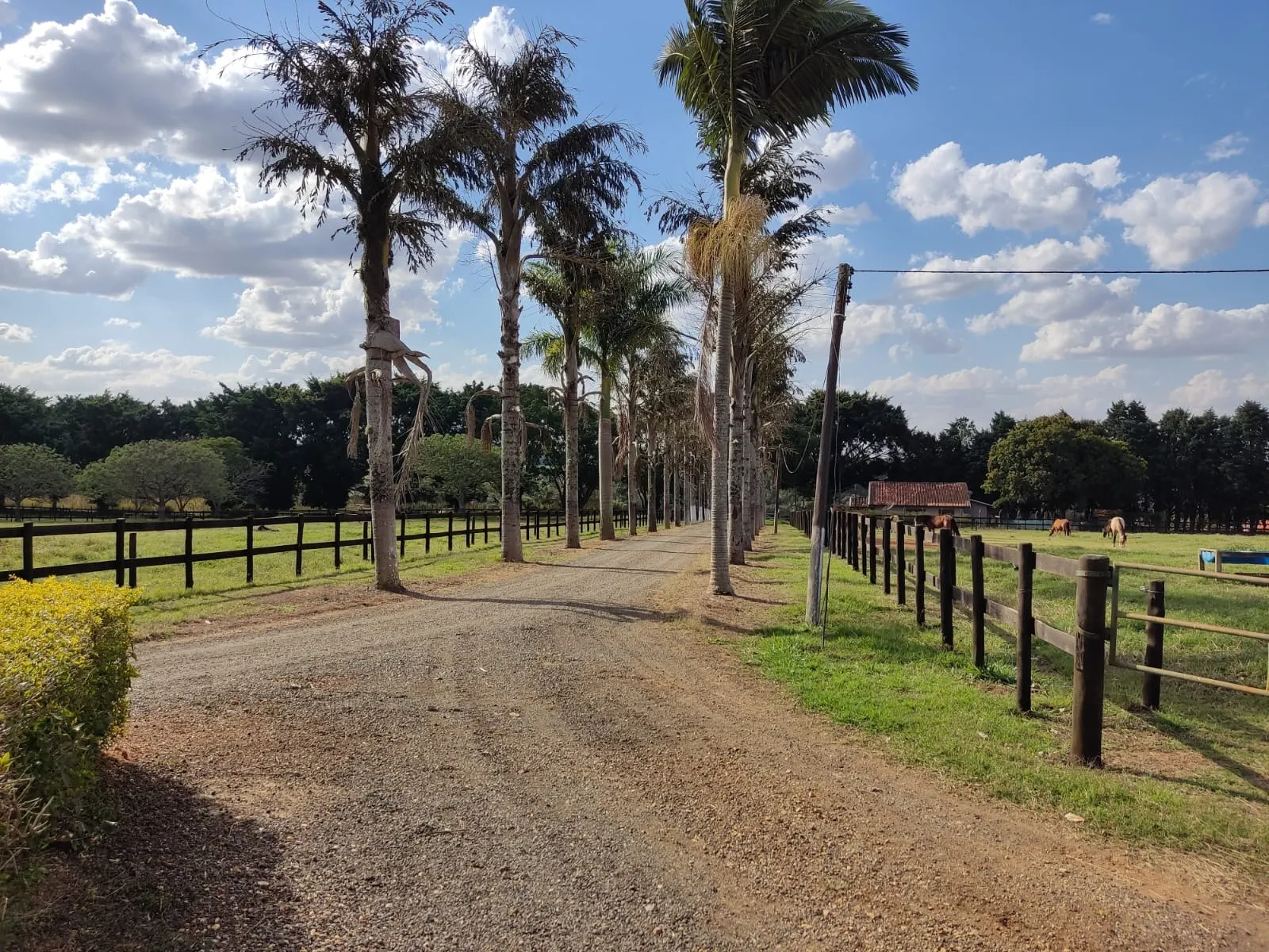 Farm for sale of 502 acres in Itapetininga, SP, Brazil