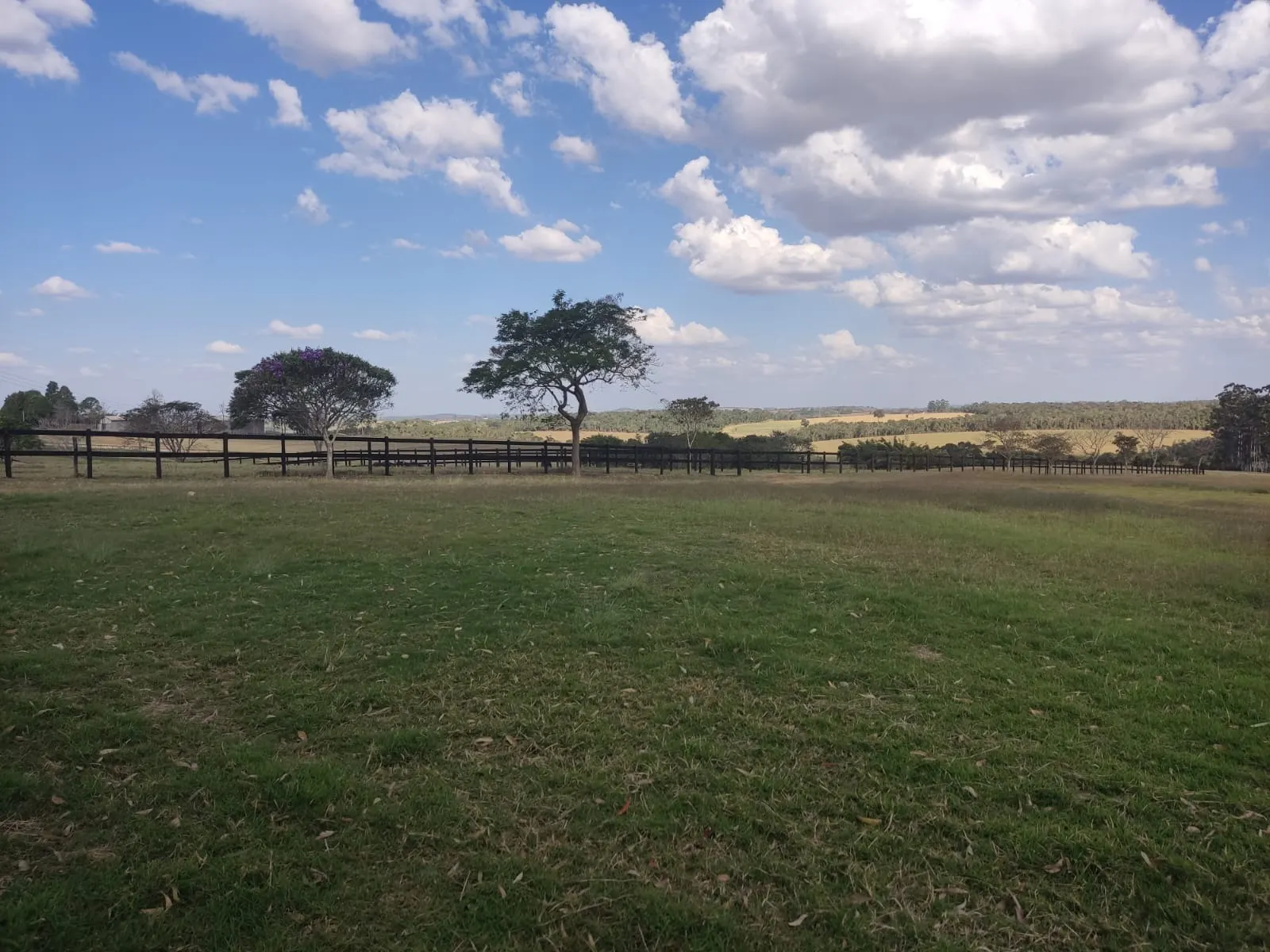 Farm for sale of 502 acres in Itapetininga, SP, Brazil