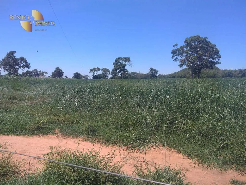 Farm for sale of 1,179 acres in Cáceres, MT, Brazil