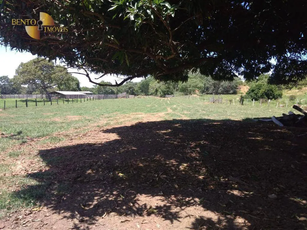 Farm for sale of 1,179 acres in Cáceres, MT, Brazil