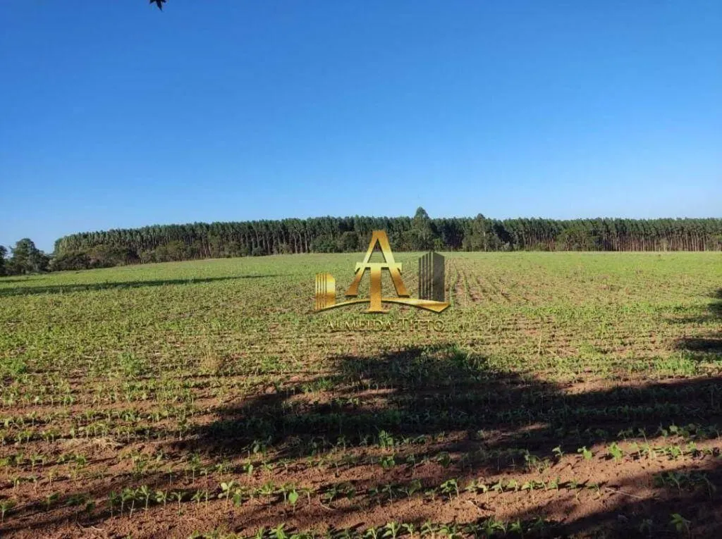 Fazenda à venda de 341 ha em Itapetininga, SP, Brasil