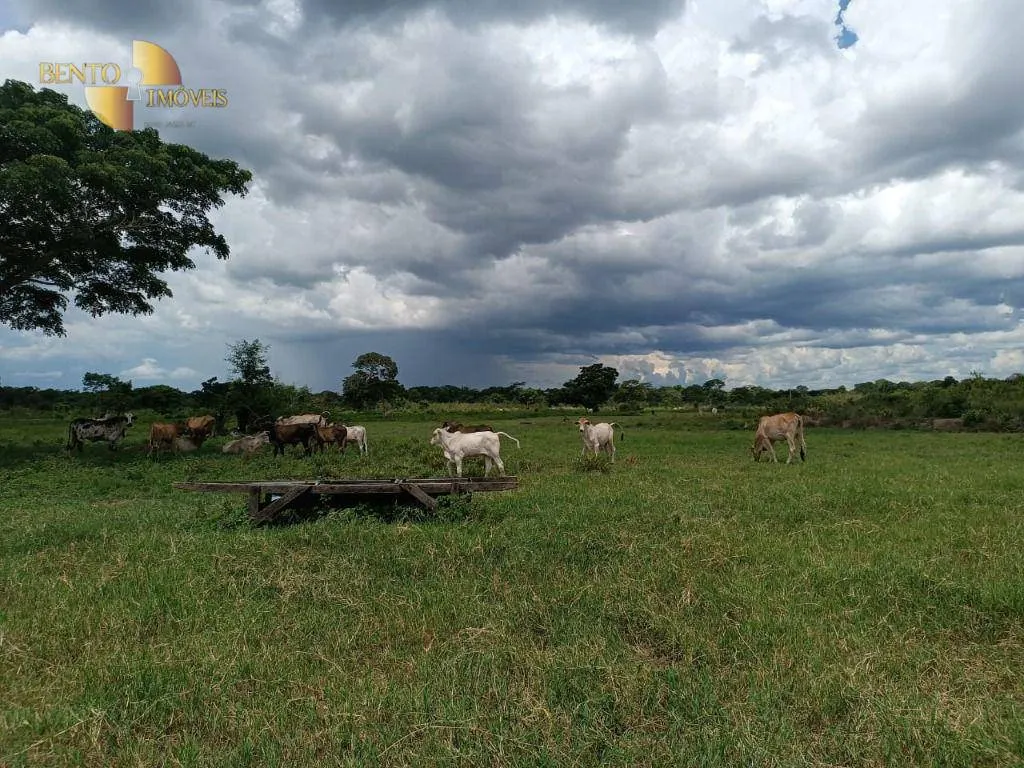 Farm for sale of 1,730 acres in Poconé, MT, Brazil