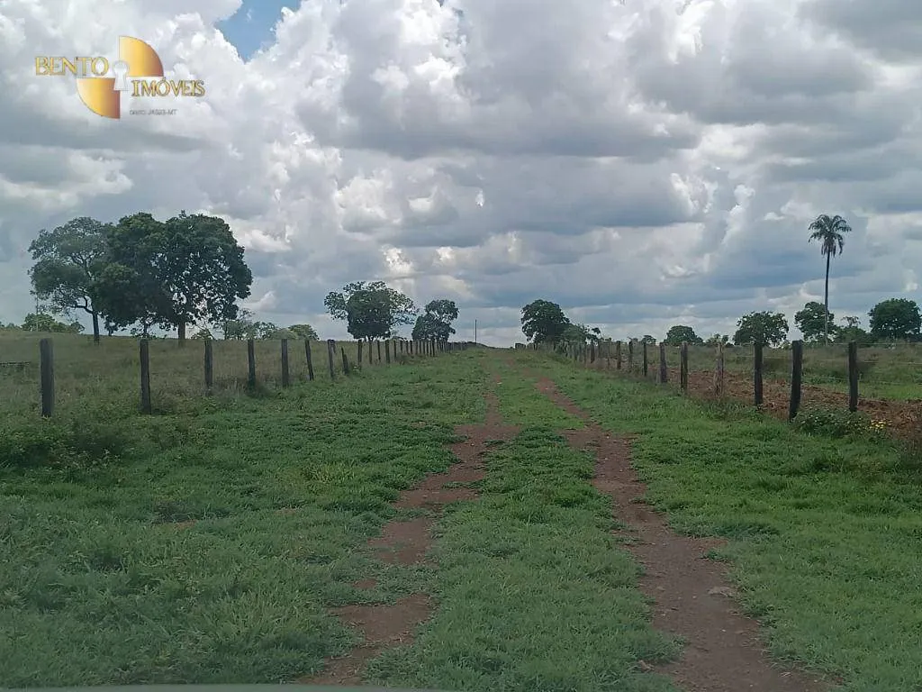 Farm for sale of 1,730 acres in Poconé, MT, Brazil