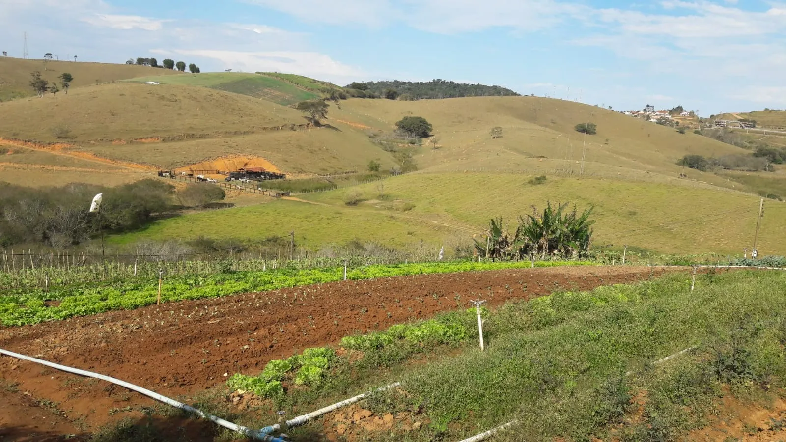 Chácara à venda de 3 ha em Paraibuna, SP, Brasil