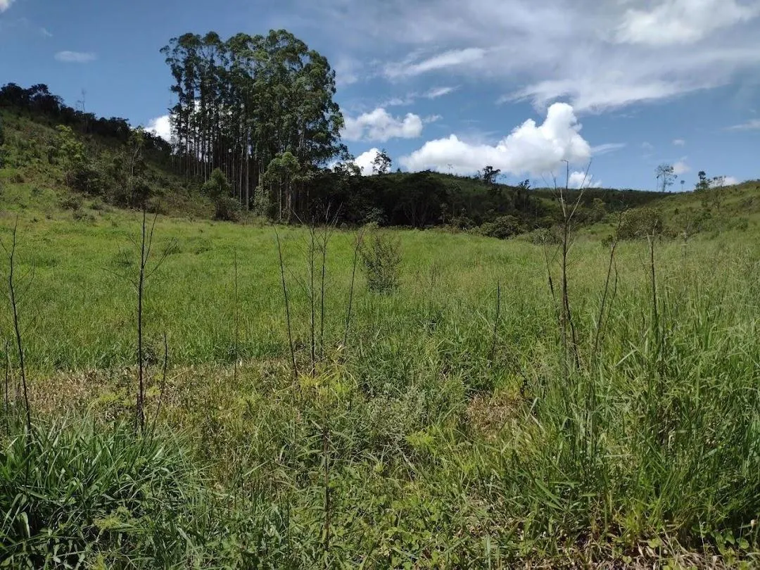 Fazenda à venda de 498 ha em Guaratinguetá, SP, Brasil