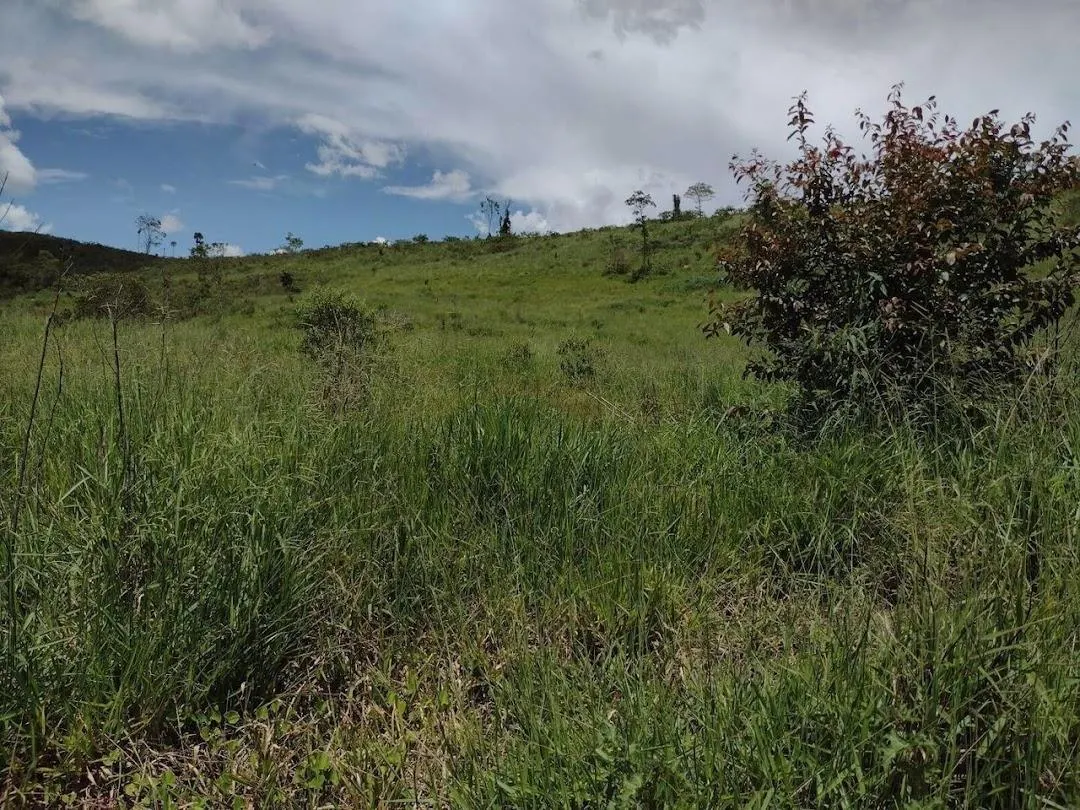 Fazenda à venda de 498 ha em Guaratinguetá, SP, Brasil
