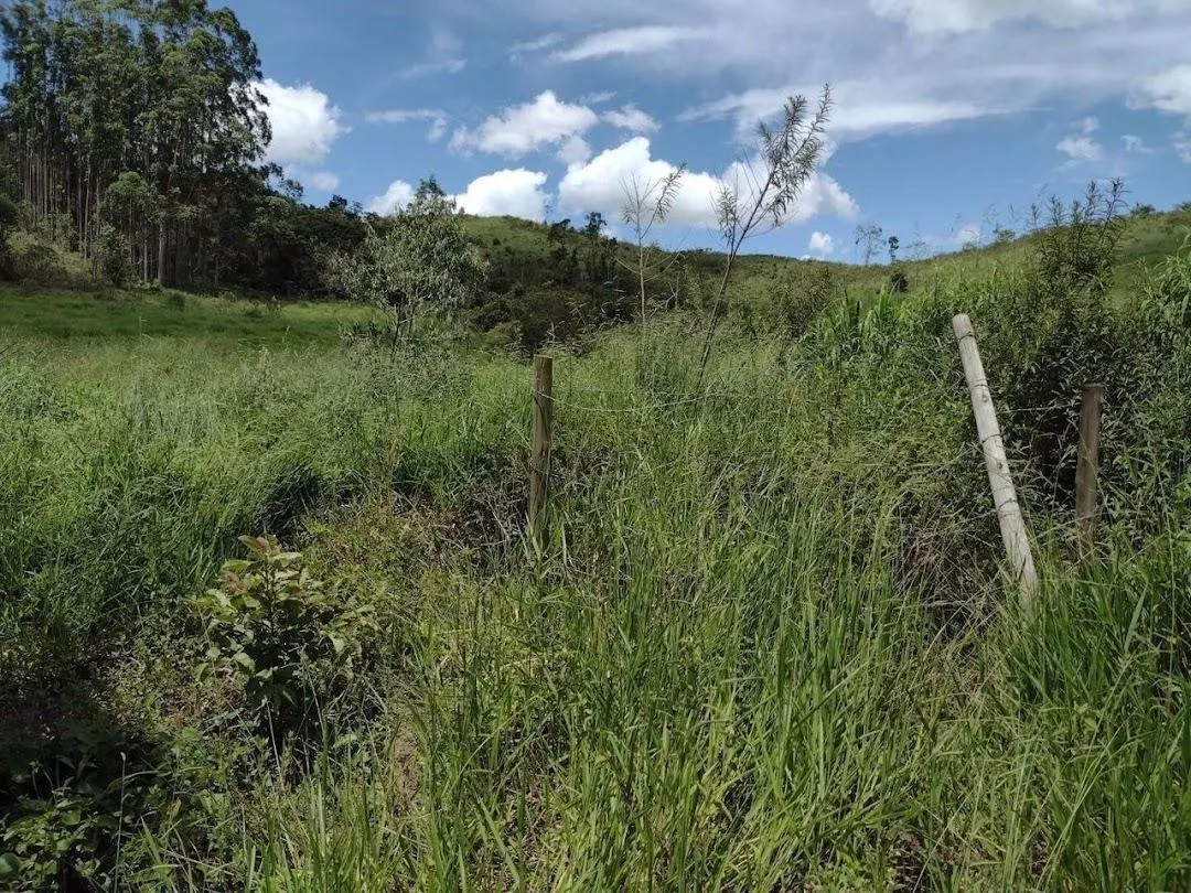 Fazenda à venda de 498 ha em Guaratinguetá, SP, Brasil