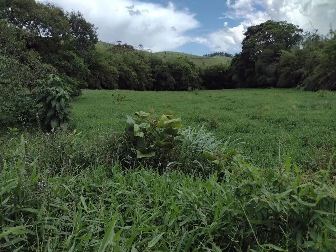 Fazenda à venda de 498 ha em Guaratinguetá, SP, Brasil
