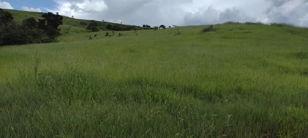 Fazenda à venda de 498 ha em Guaratinguetá, SP, Brasil