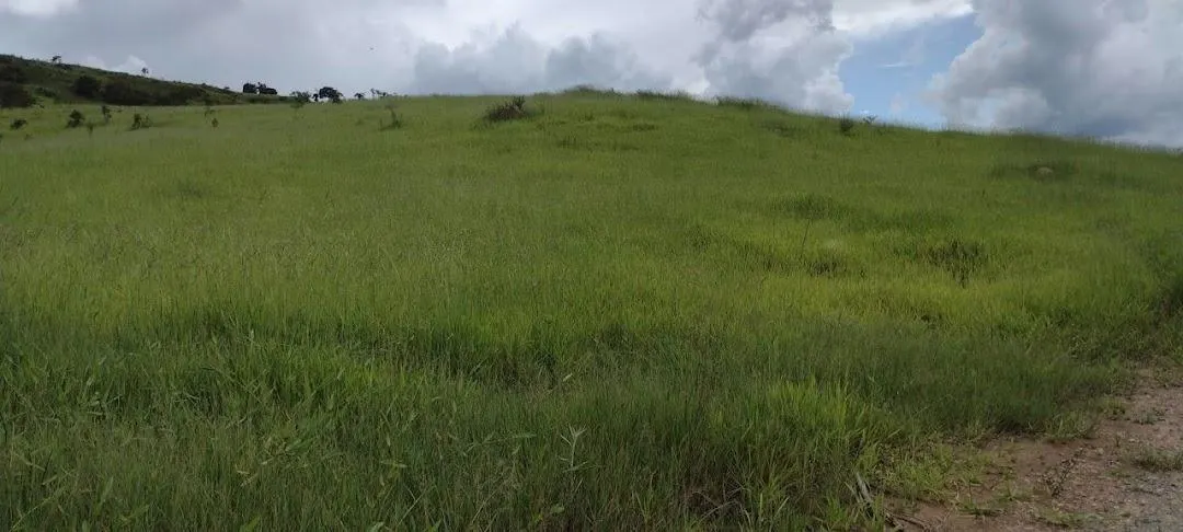 Fazenda à venda de 498 ha em Guaratinguetá, SP, Brasil