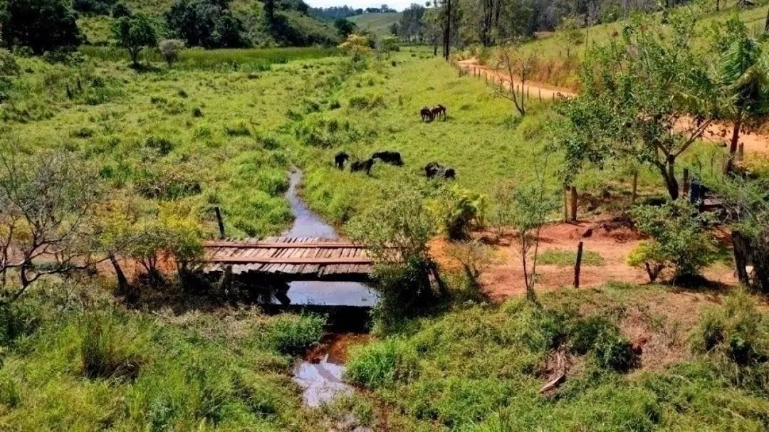 Fazenda à venda de 159 ha em Santa Branca, SP, Brasil