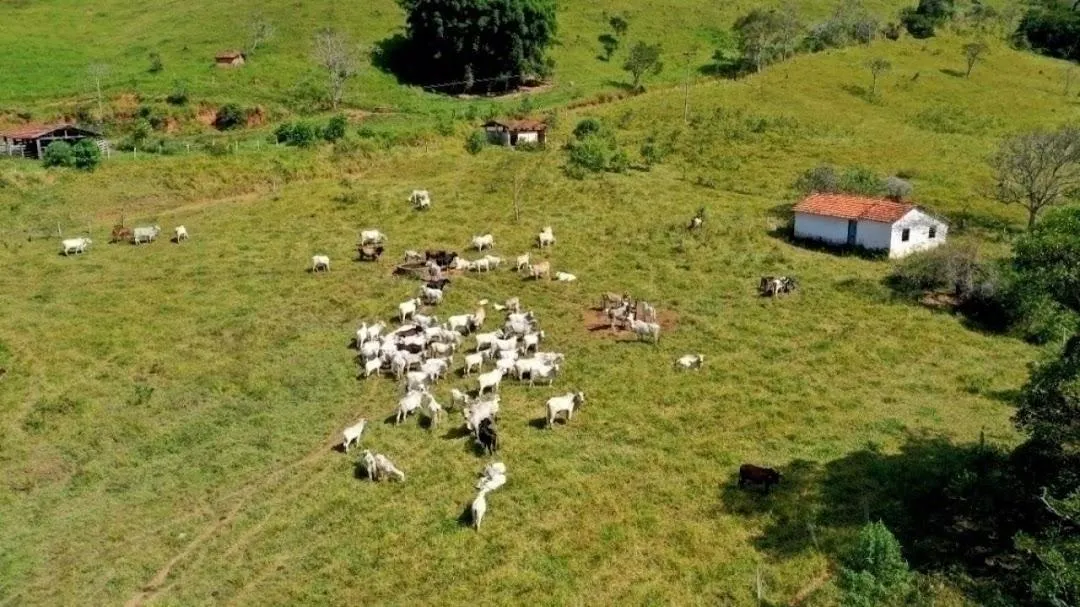 Fazenda à venda de 159 ha em Santa Branca, SP, Brasil