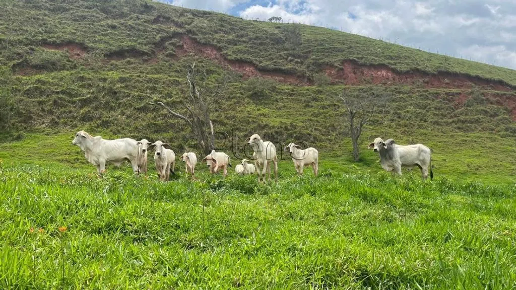 Fazenda à venda de 208 ha em Guaratinguetá, SP, Brasil