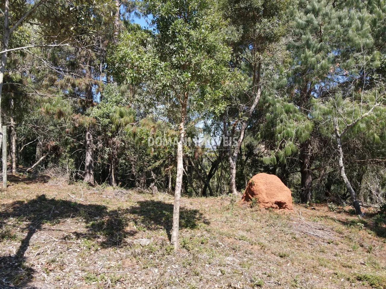 Terreno à venda de 1.680 m² em Campos do Jordão, SP, Brasil