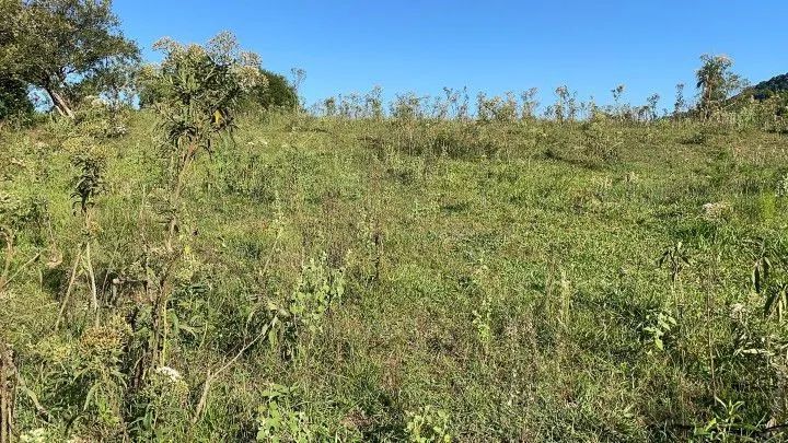 Chácara à venda de 1.500 m² em Santo Antônio da Patrulha, RS, Brasil