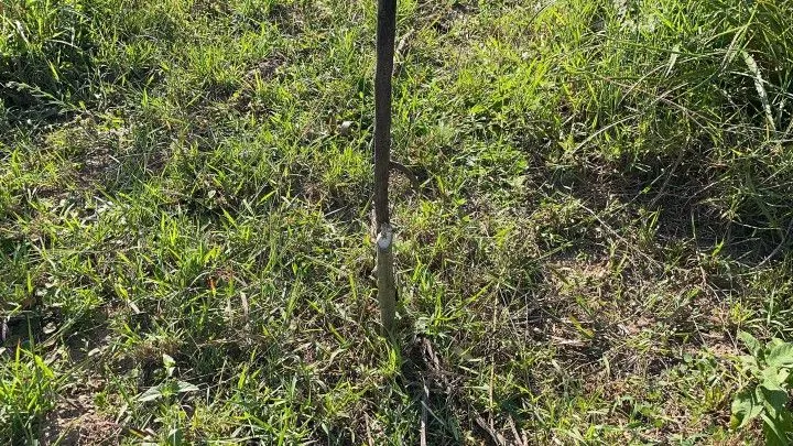 Chácara à venda de 1.500 m² em Santo Antônio da Patrulha, RS, Brasil