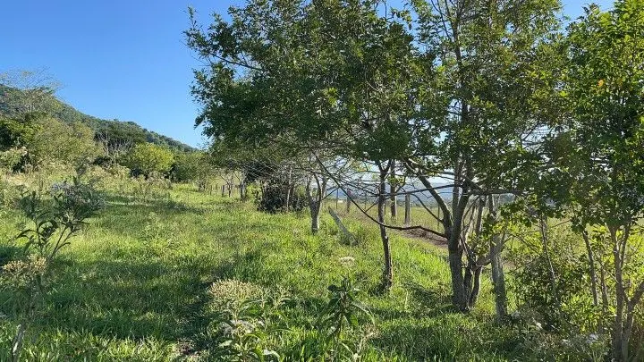 Chácara à venda de 1.500 m² em Santo Antônio da Patrulha, RS, Brasil
