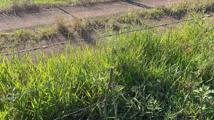 Chácara à venda de 1.500 m² em Santo Antônio da Patrulha, RS, Brasil