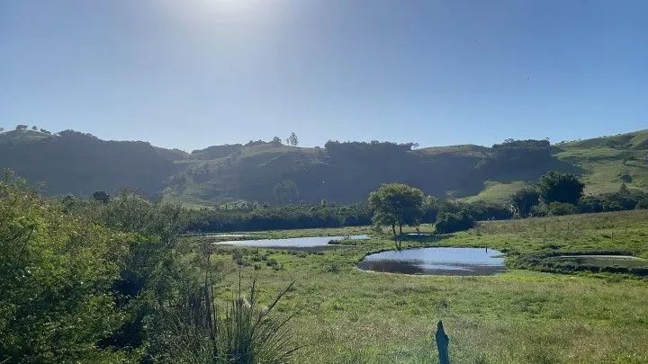 Chácara à venda de 1.500 m² em Santo Antônio da Patrulha, RS, Brasil