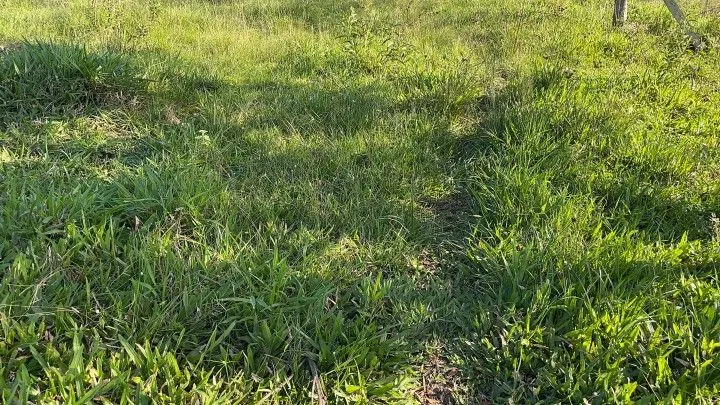 Chácara à venda de 1.500 m² em Santo Antônio da Patrulha, RS, Brasil