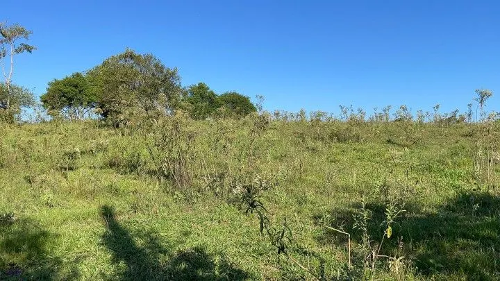 Chácara à venda de 1.500 m² em Santo Antônio da Patrulha, RS, Brasil