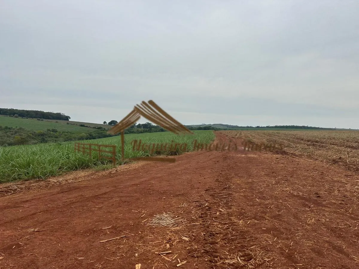 Fazenda à venda de 263 ha em Avaré, SP, Brasil