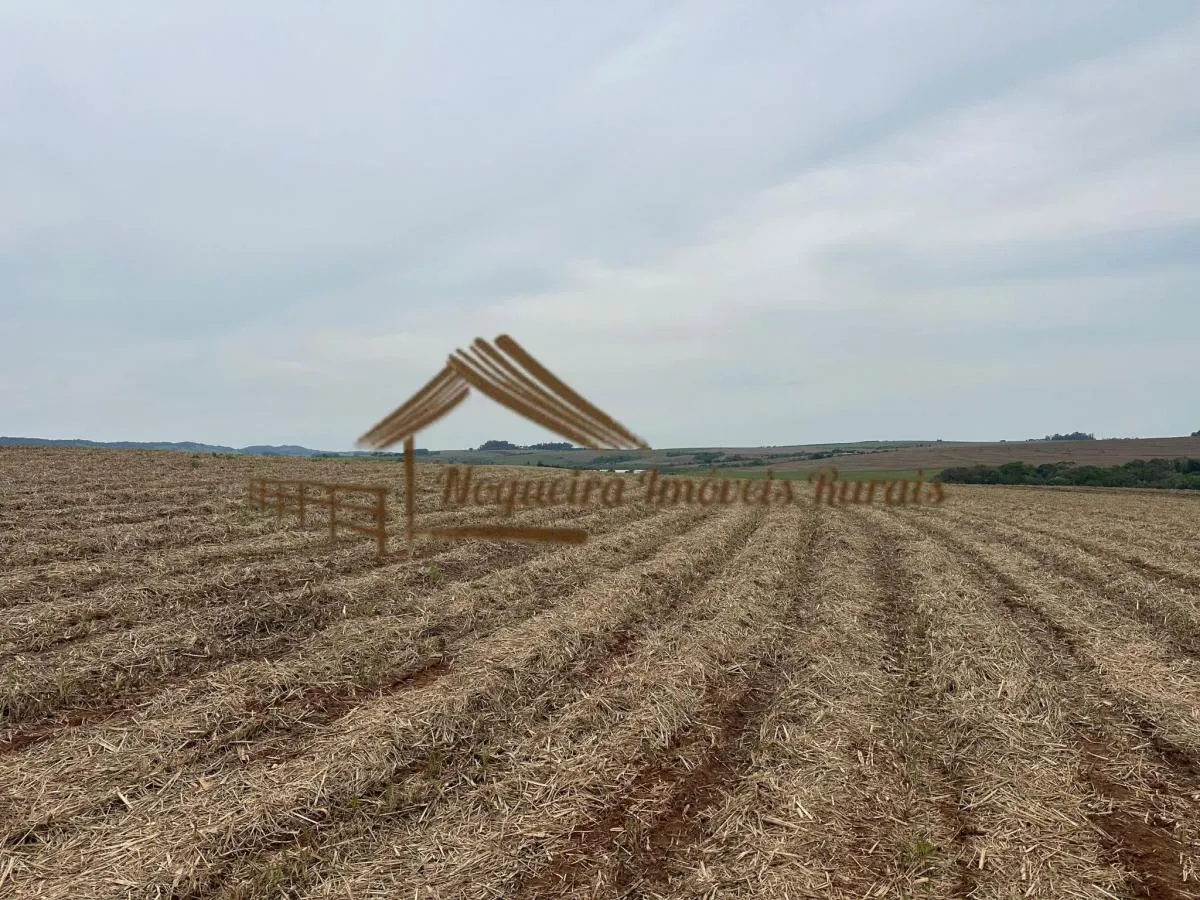 Fazenda à venda de 263 ha em Avaré, SP, Brasil