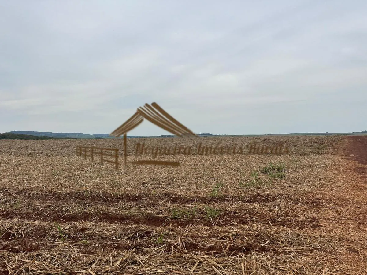 Fazenda à venda de 263 ha em Avaré, SP, Brasil