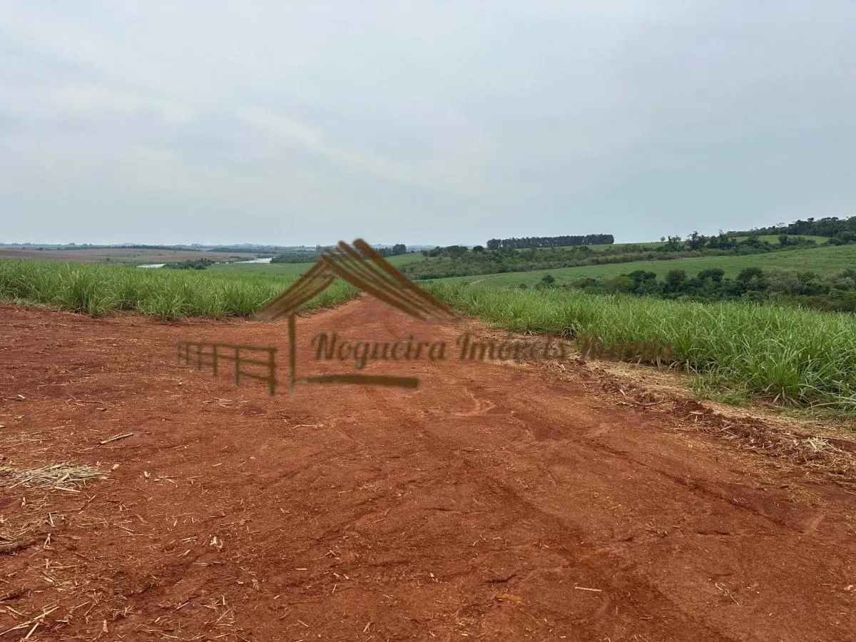 Fazenda à venda de 263 ha em Avaré, SP, Brasil