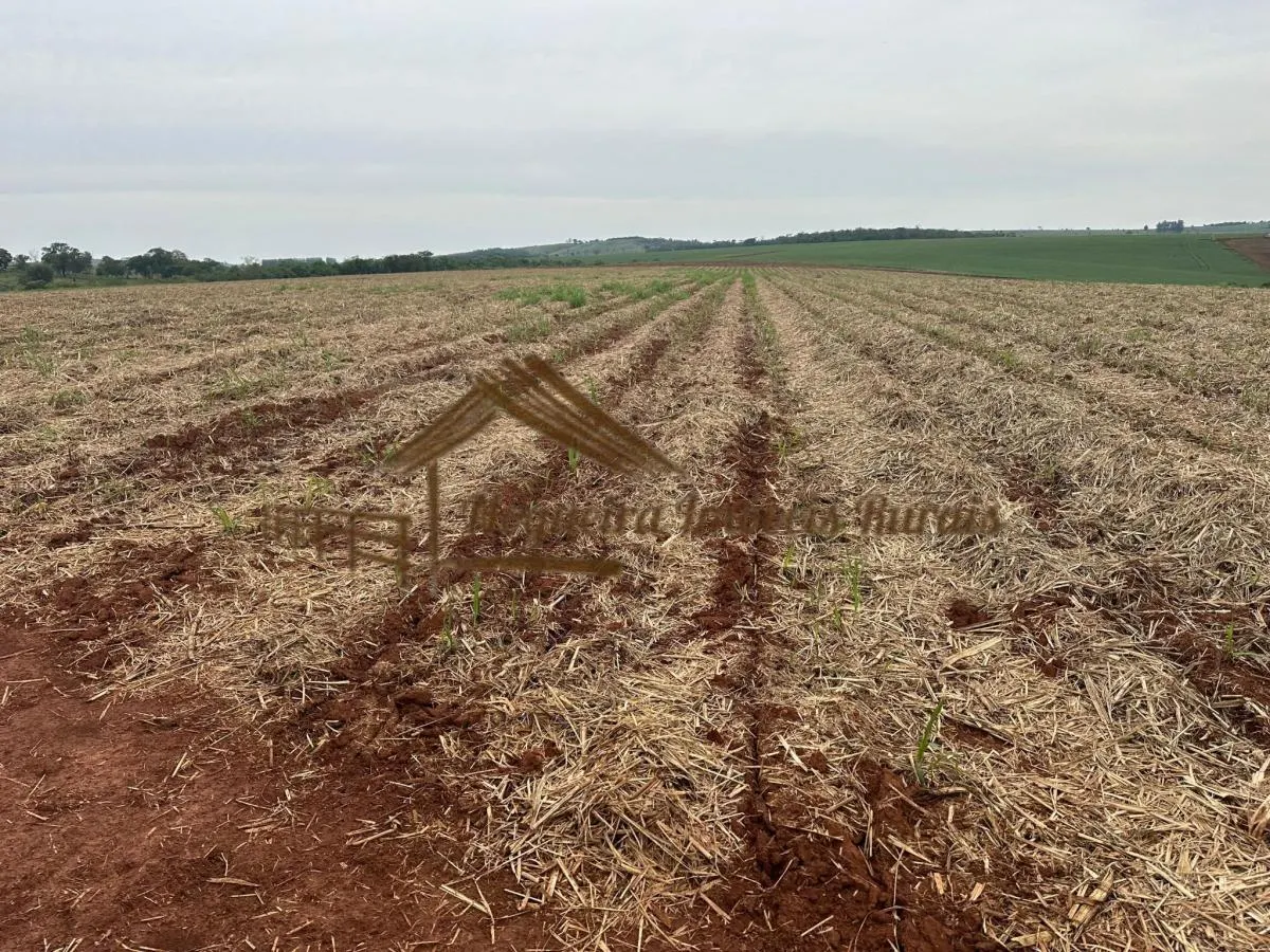 Fazenda à venda de 263 ha em Avaré, SP, Brasil