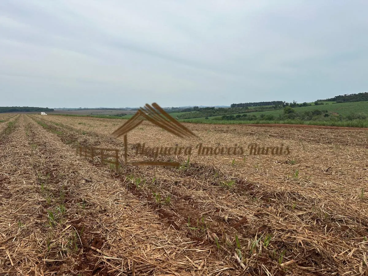 Fazenda à venda de 263 ha em Avaré, SP, Brasil