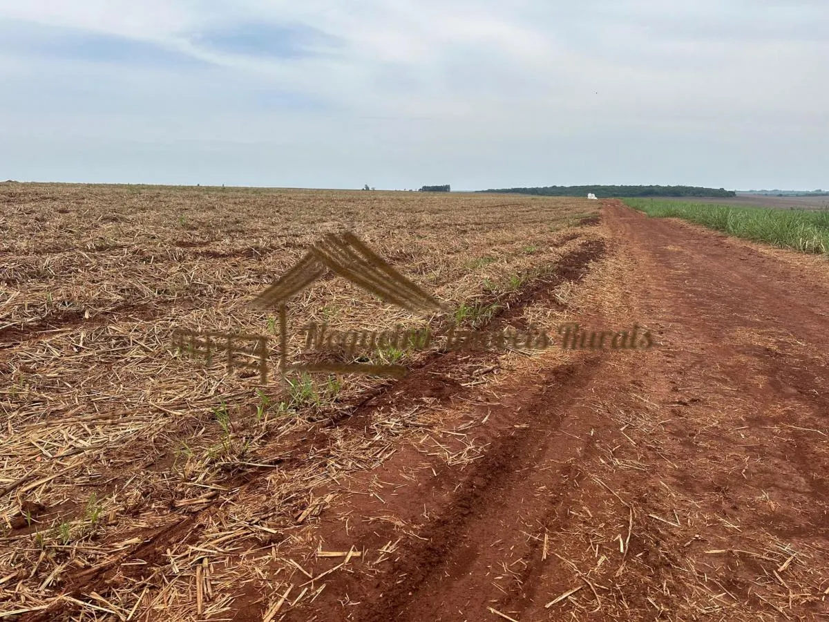 Fazenda à venda de 263 ha em Avaré, SP, Brasil