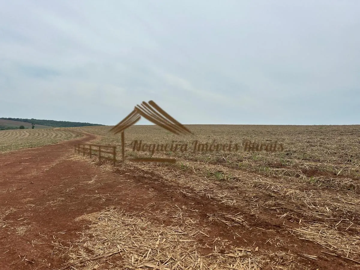 Fazenda à venda de 263 ha em Avaré, SP, Brasil