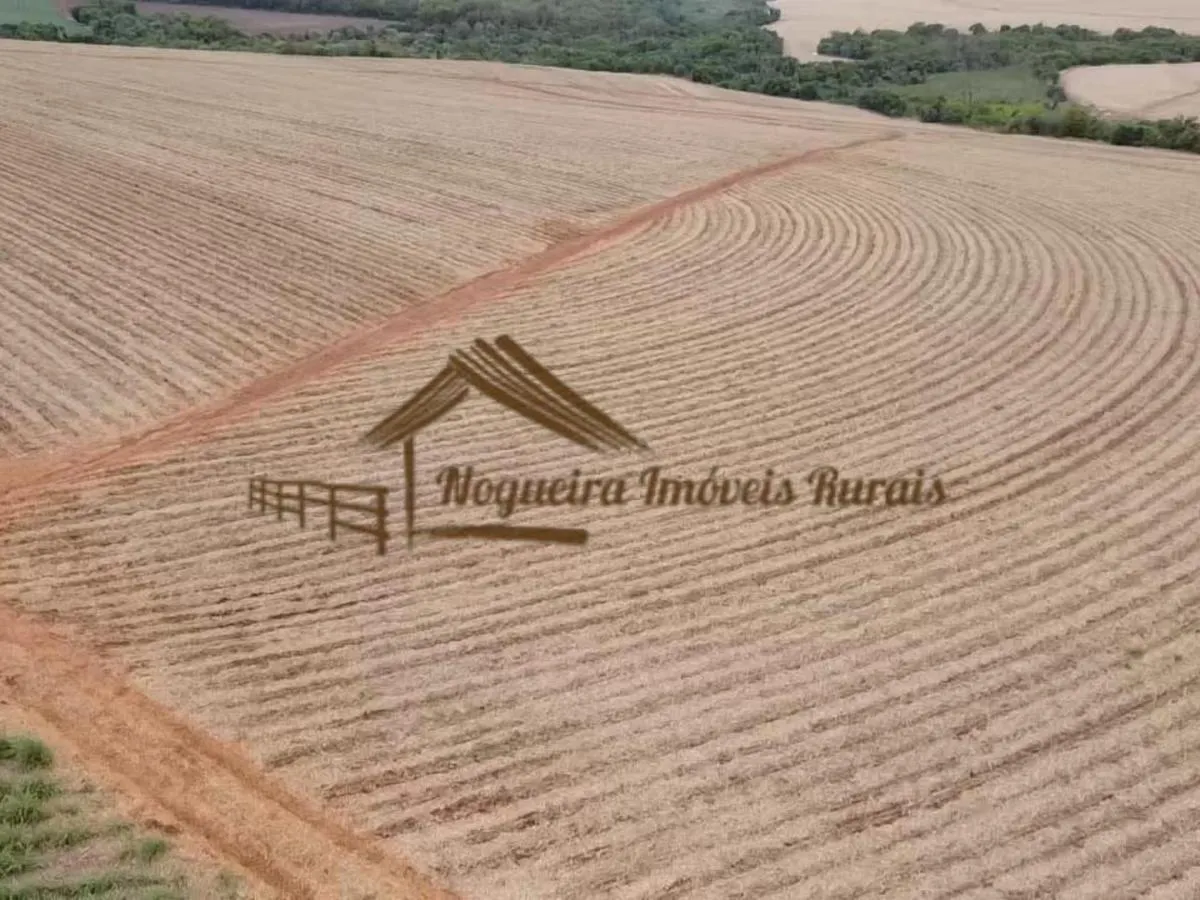 Fazenda à venda de 263 ha em Avaré, SP, Brasil