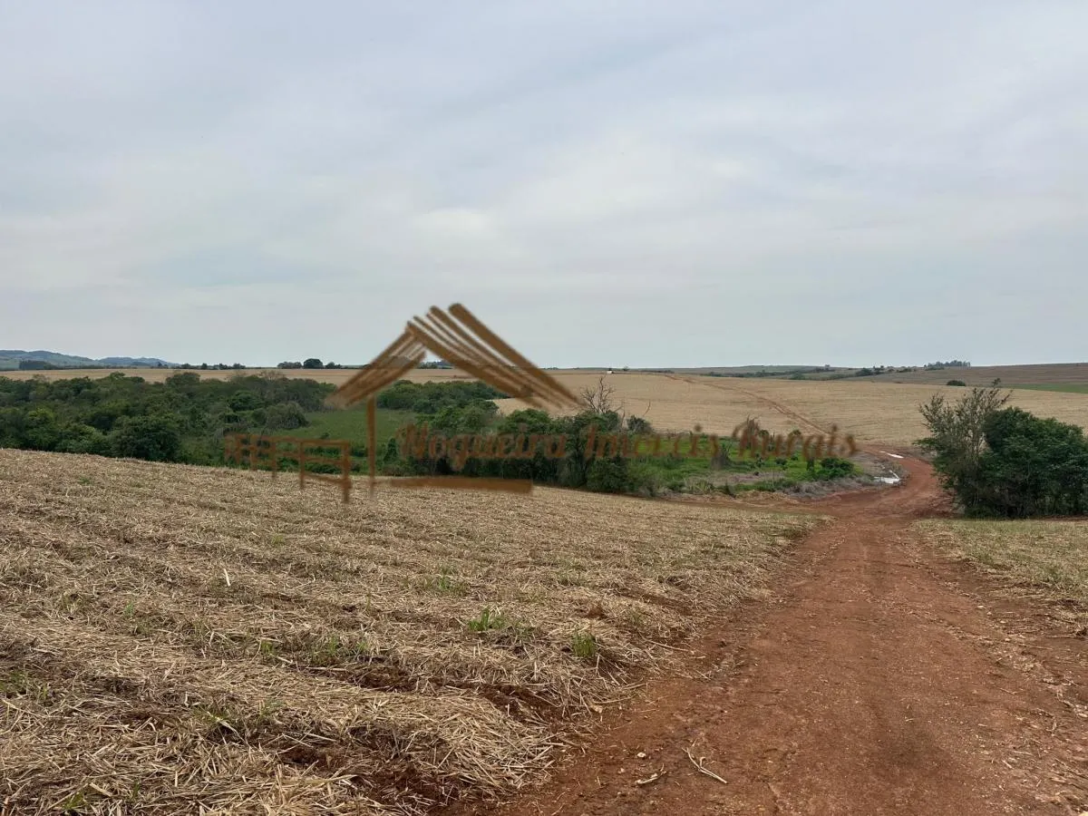 Fazenda à venda de 263 ha em Avaré, SP, Brasil